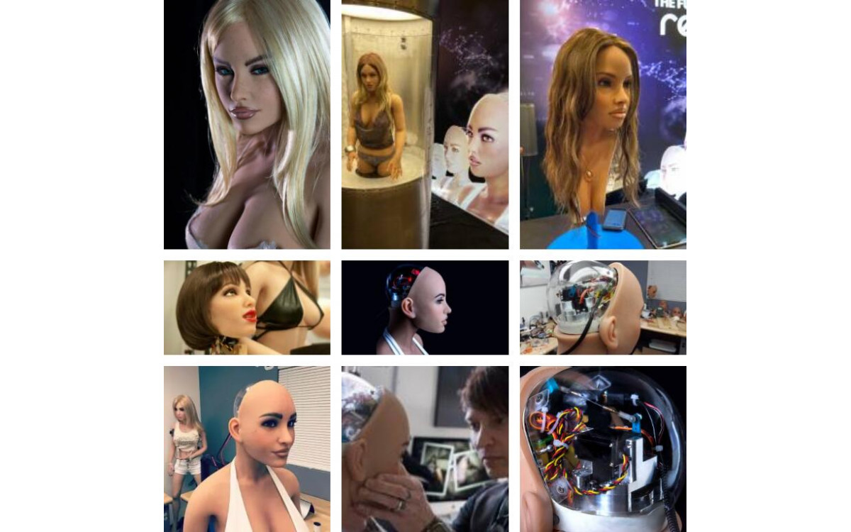 The future of sex dolls